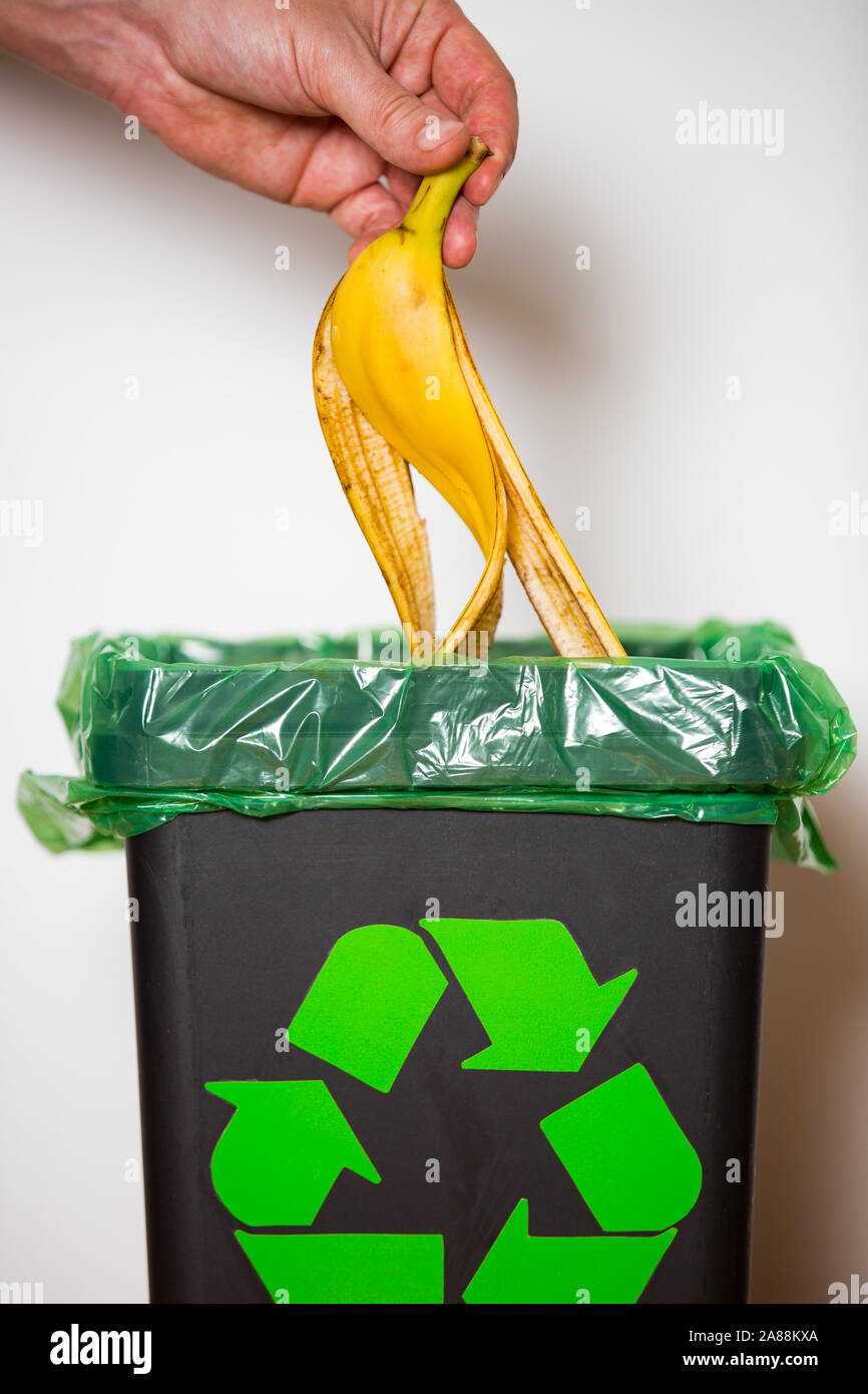 Hand putting banana peel in recycling bio bin. Person in a house kitchen separating waste. Black trash bin with green bag and recycling symbol. Stock Photo