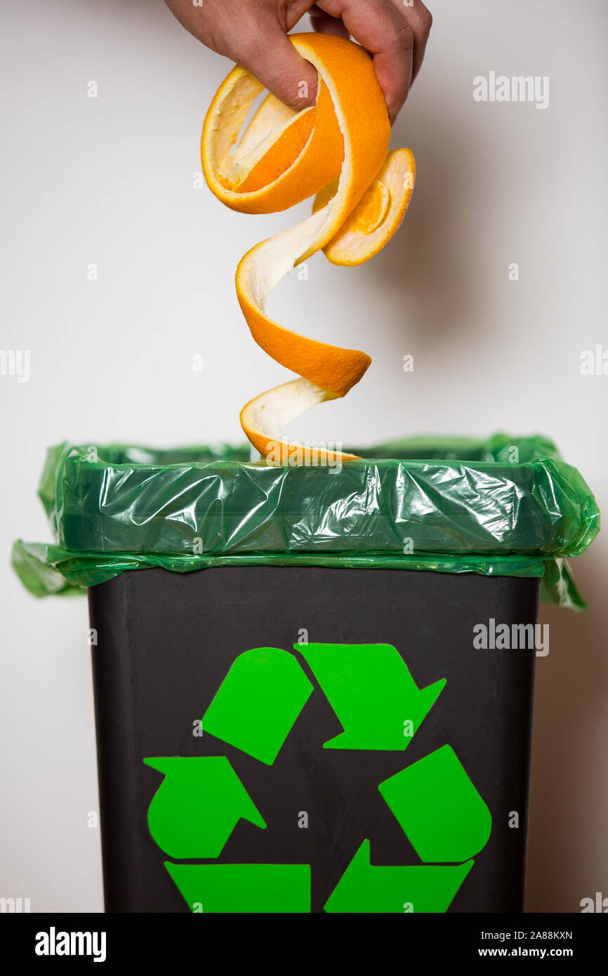 Hand putting orange peel in recycling bio bin. Person in a house kitchen separating waste. Black trash bin with green bag and recycling symbol. Stock Photo