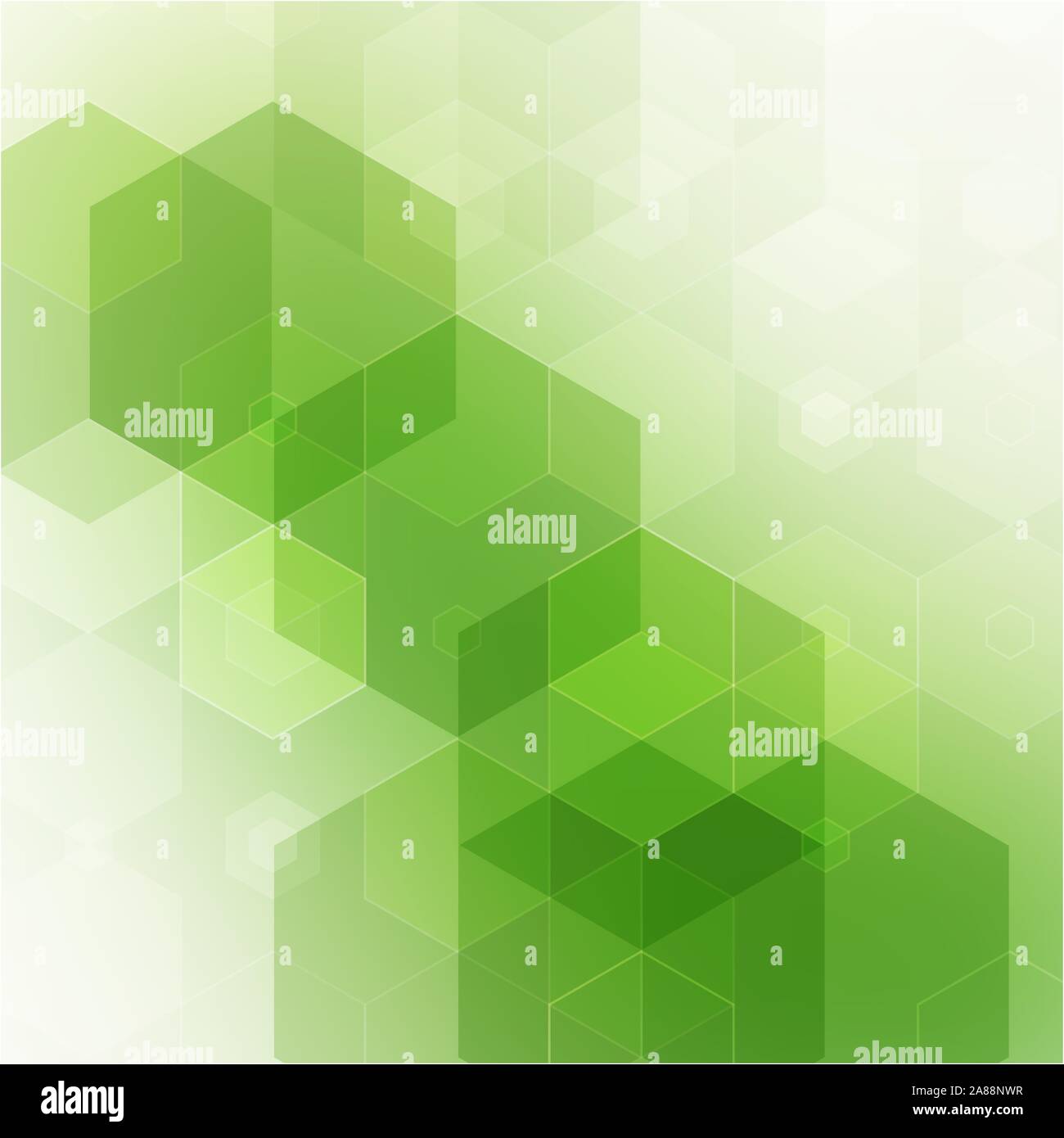 Vector Abstract geometric background. Template brochure design. Green  hexagon shape. eps 10 Stock Vector Image & Art - Alamy