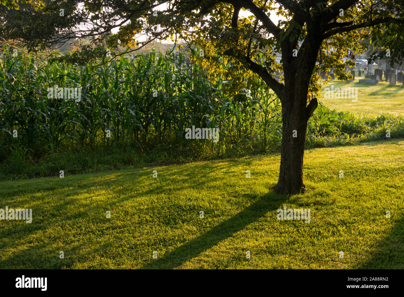 Lancaster cemetery hires stock photography and images Alamy