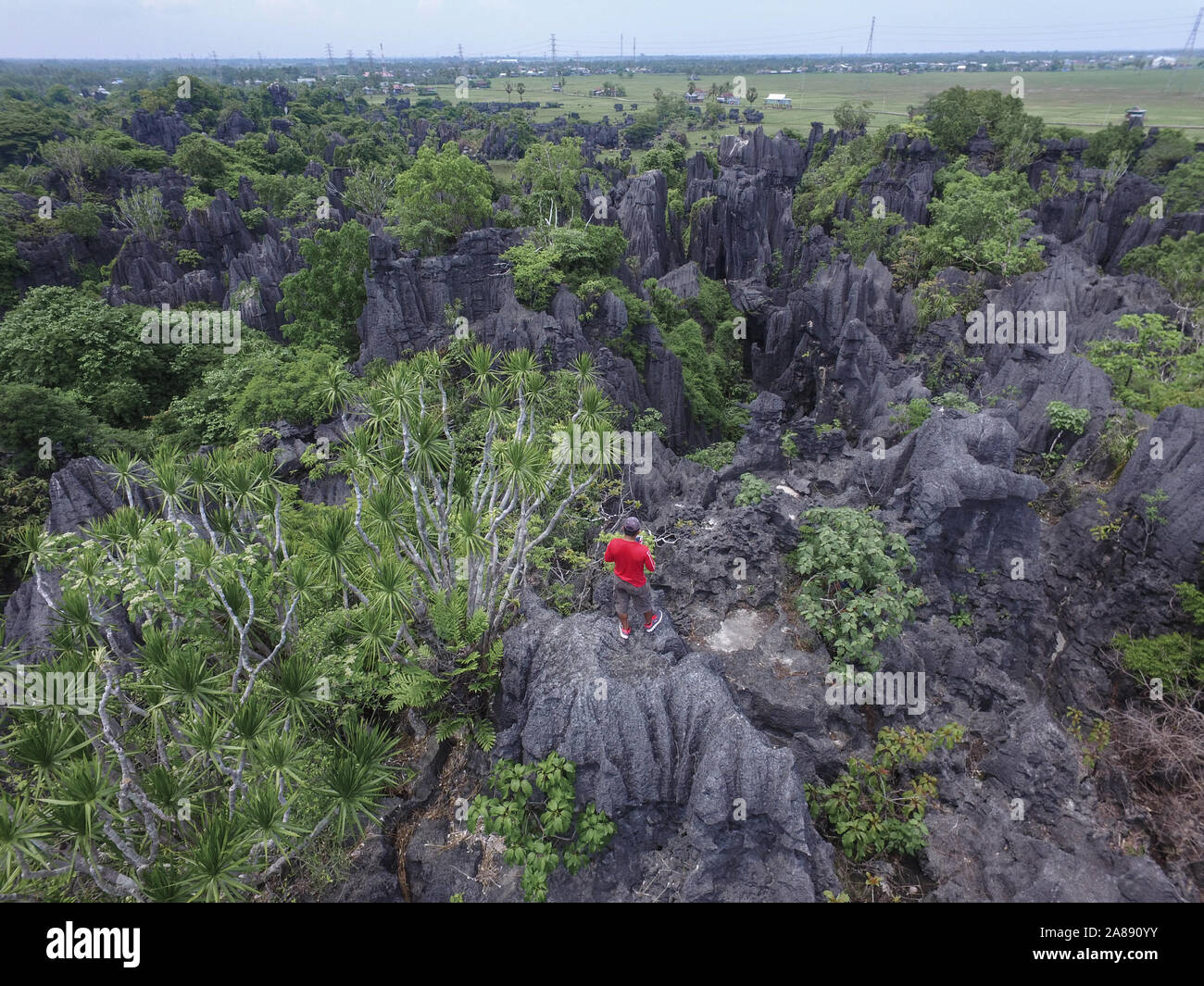 Man with red shirt climb and hiking in the Forest of Rock (Hutan Batu) in Rammang Rammang - South Sulawesi - Indonesia Stock Photo