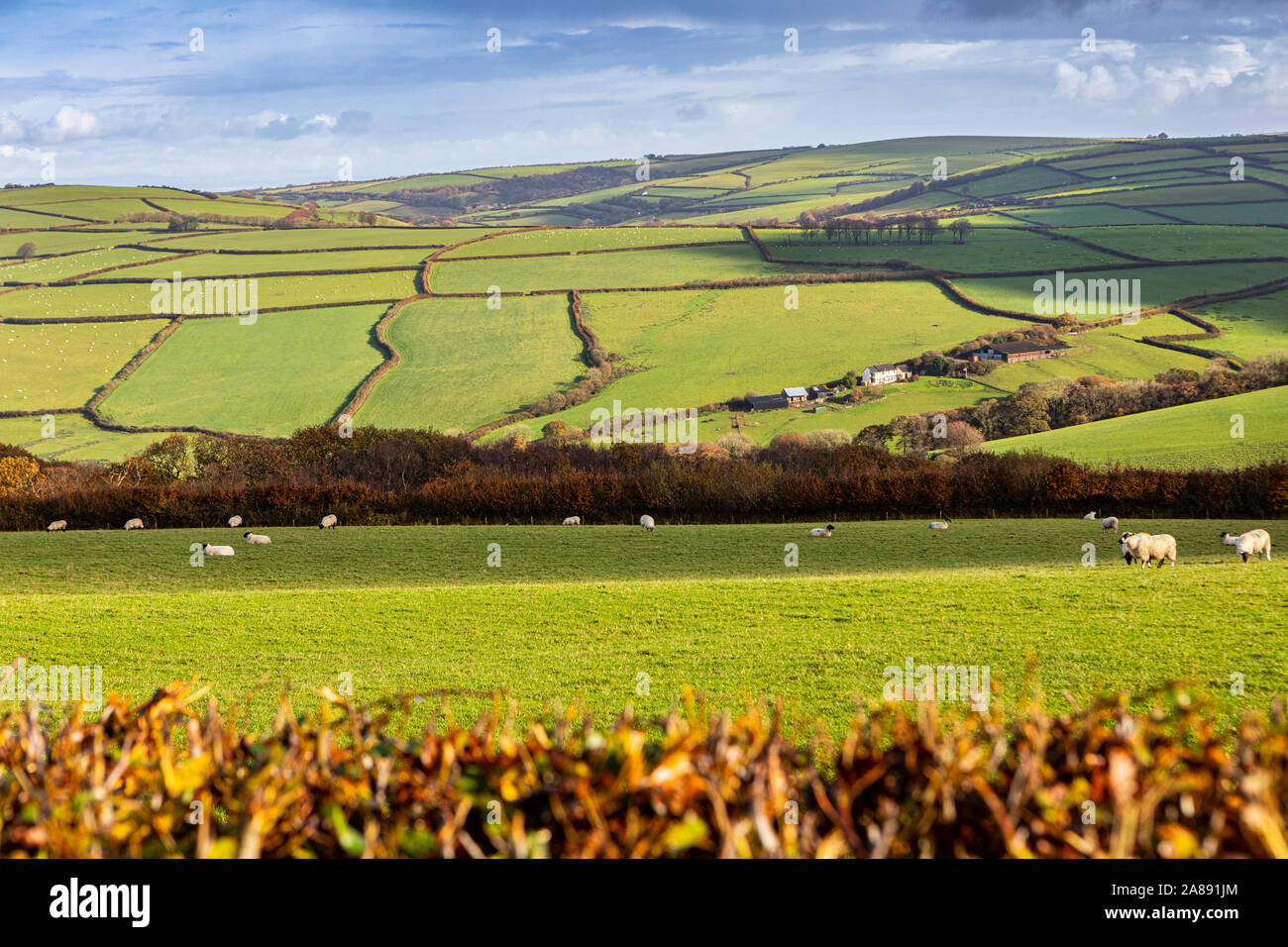 Countryside of Exmoor, North devon Stock Photo - Alamy