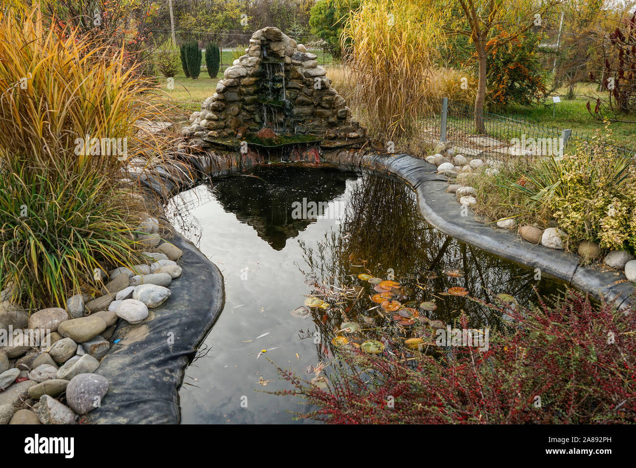 Small water pond with artificial waterfall , aquatic waterlily plants leaves and decorative plants at the botanical garden from Ploiesti , Romania Stock Photo