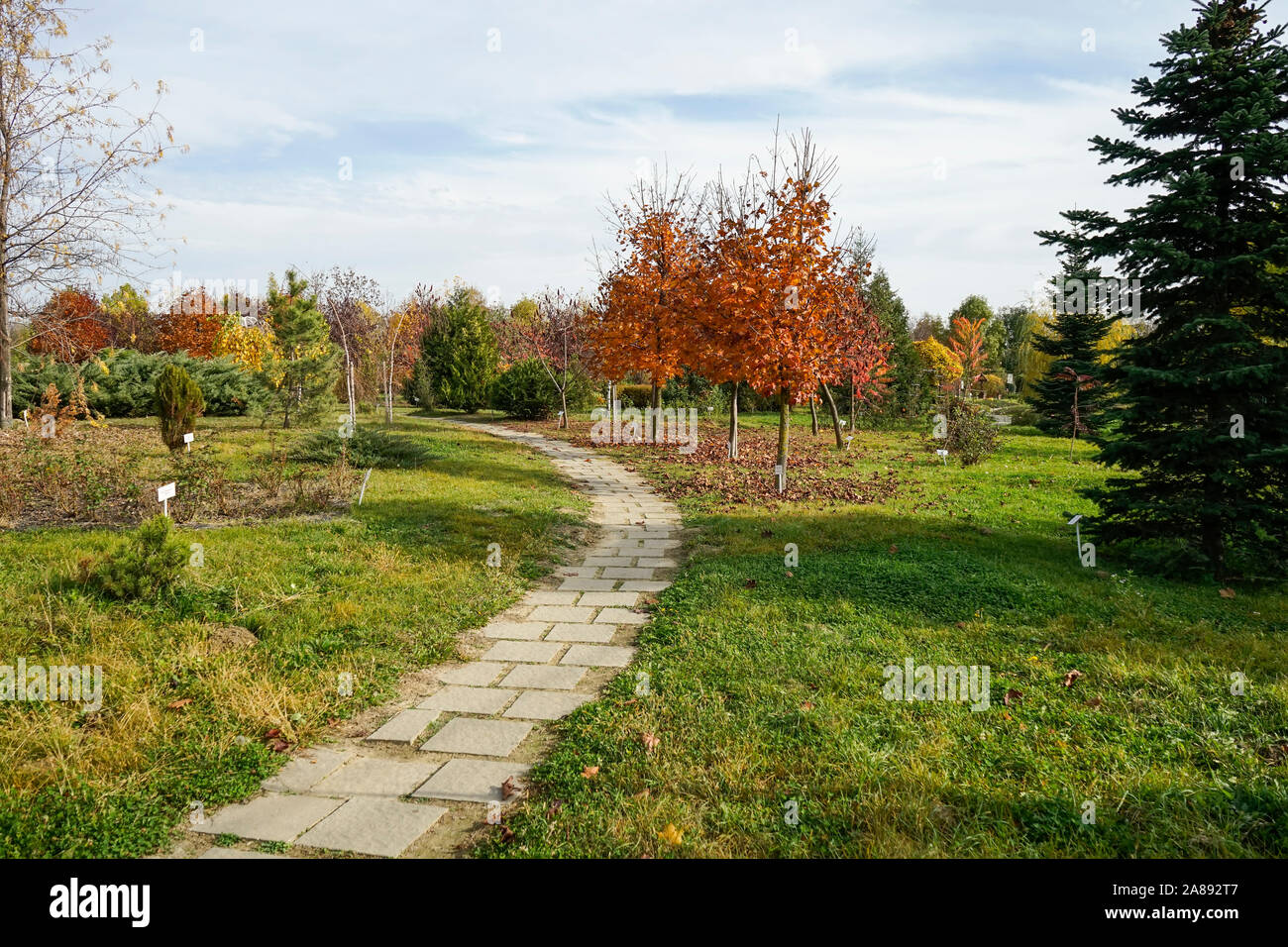 Alley with various species of trees and decorative shrubs specific to the temperate climate ,  at the botanical garden near Ploiesti , Romania Stock Photo