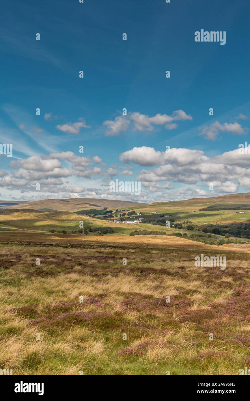 Forest-in-Teesdale from Holwick Fell, Upper Teesdale, UK Stock Photo