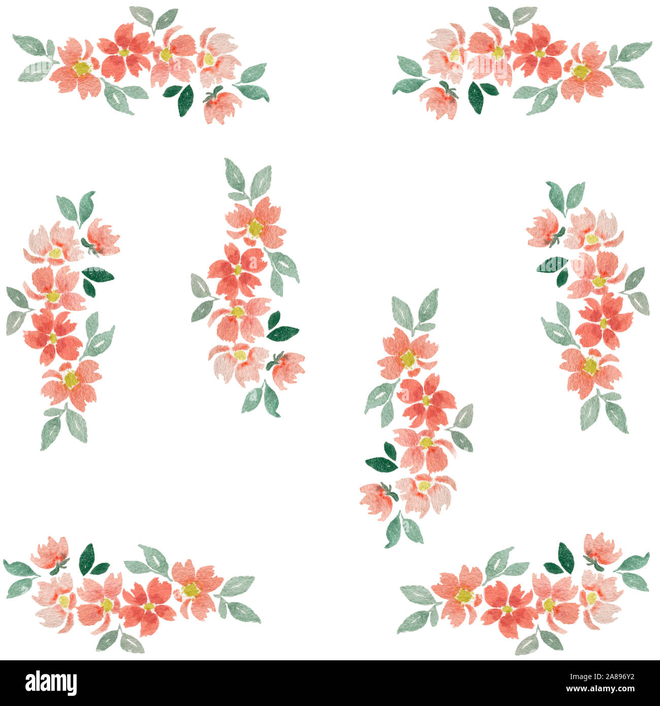 set of watercolor floral elements isolated on white, hand painted ...