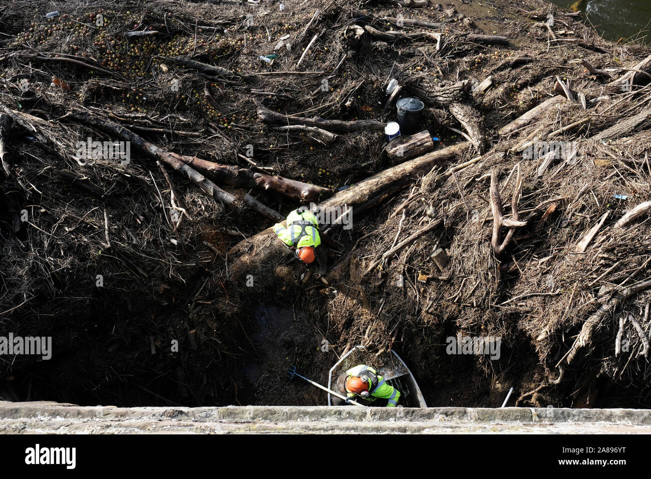 Hereford, Herefordshire, UK - Thursday 7th November 2019 - Environment Agency staff with chain saws and hooks start to clear the huge volume of trees, branches and assorted river debris that is blocking the centre arches of the old medieval Wye Bridge in Hereford. Recent heavy rain last wek saw the River Wye peak at 5.5m in the city, the highest since 1998.  Photo Steven May / Alamy Live News Stock Photo