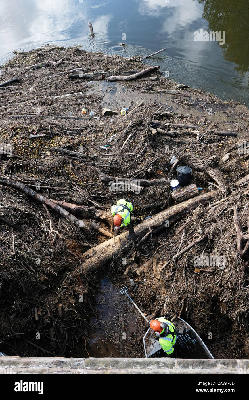 Hereford, Herefordshire, UK - Thursday 7th November 2019 - Environment Agency staff with chain saws and hooks start to clear the huge volume of trees, branches and assorted river debris that is blocking the centre arches of the old medieval Wye Bridge in Hereford. Recent heavy rain last wek saw the River Wye peak at 5.5m in the city, the highest since 1998.  Photo Steven May / Alamy Live News Stock Photo