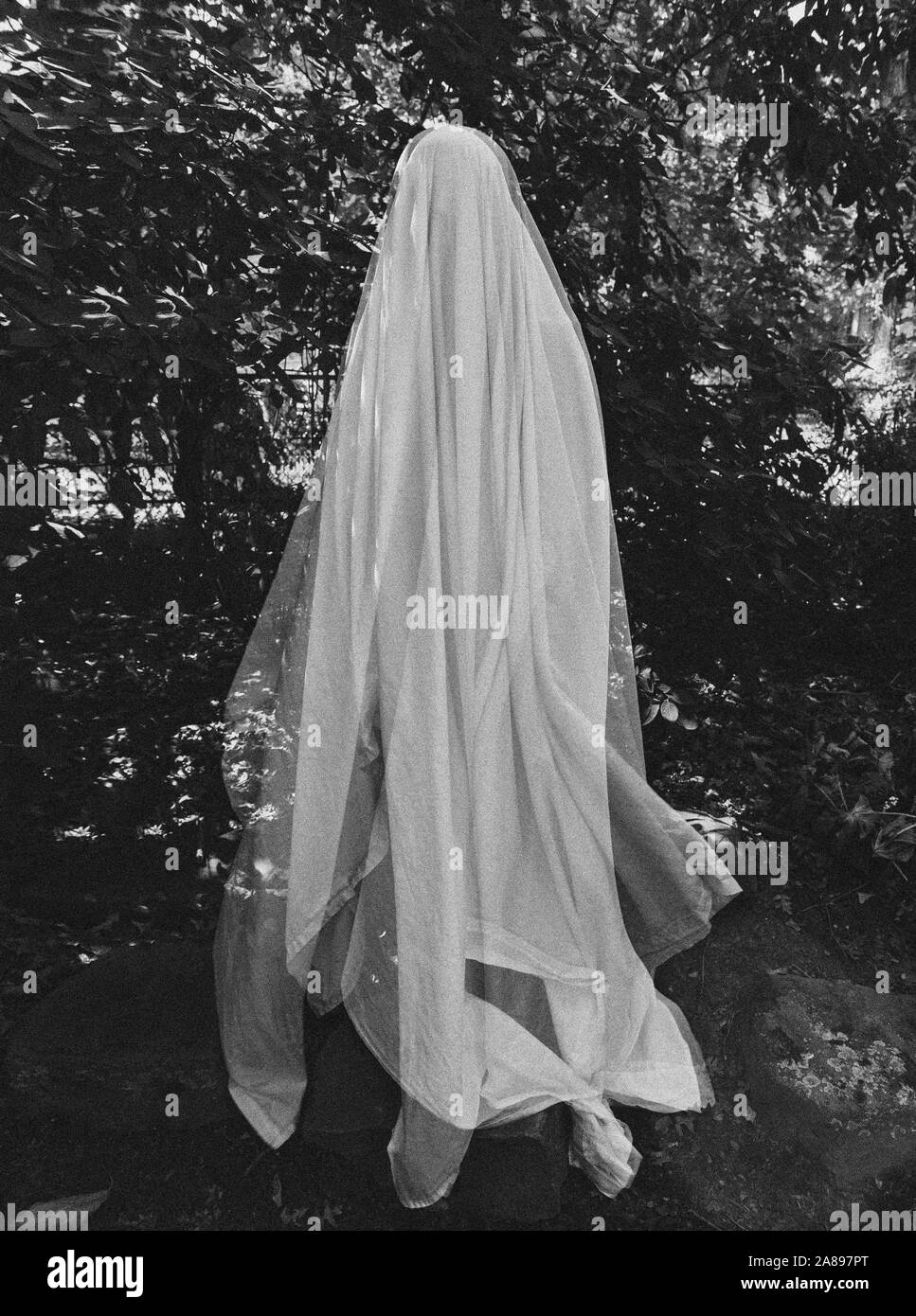 Ghost by trees Stock Photo
