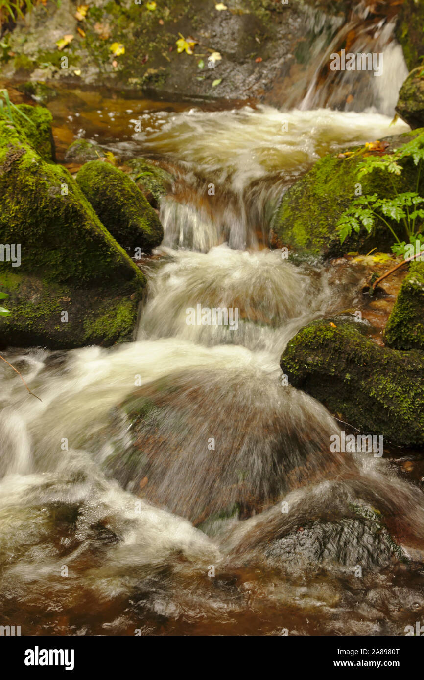 Windsbergschlucht with waterfall, near St. Blasien,  autumn, Black Forest, Germany Stock Photo