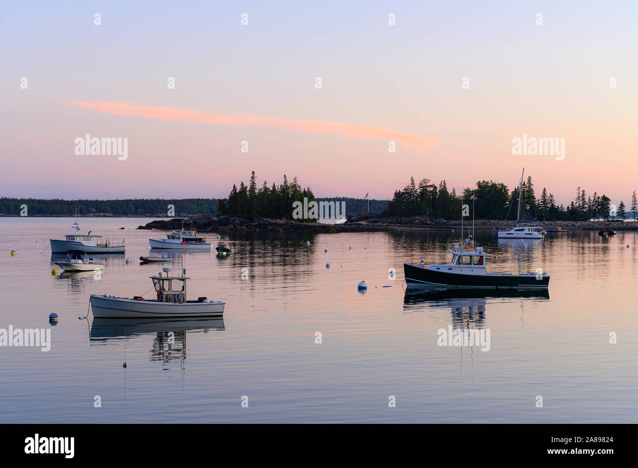 Seal in harbor boats hires stock photography and images Alamy
