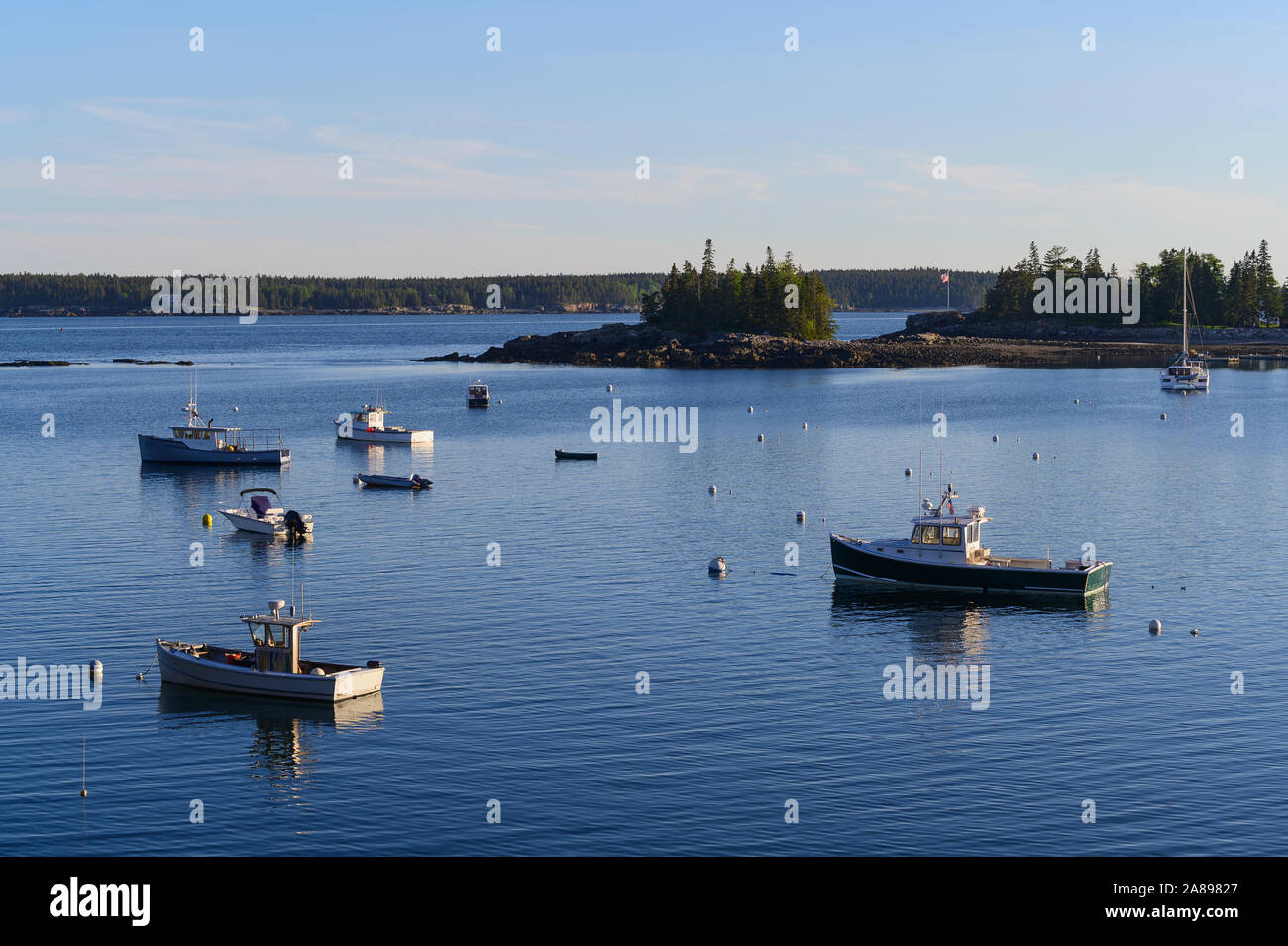 Seal in harbor boats hires stock photography and images Alamy