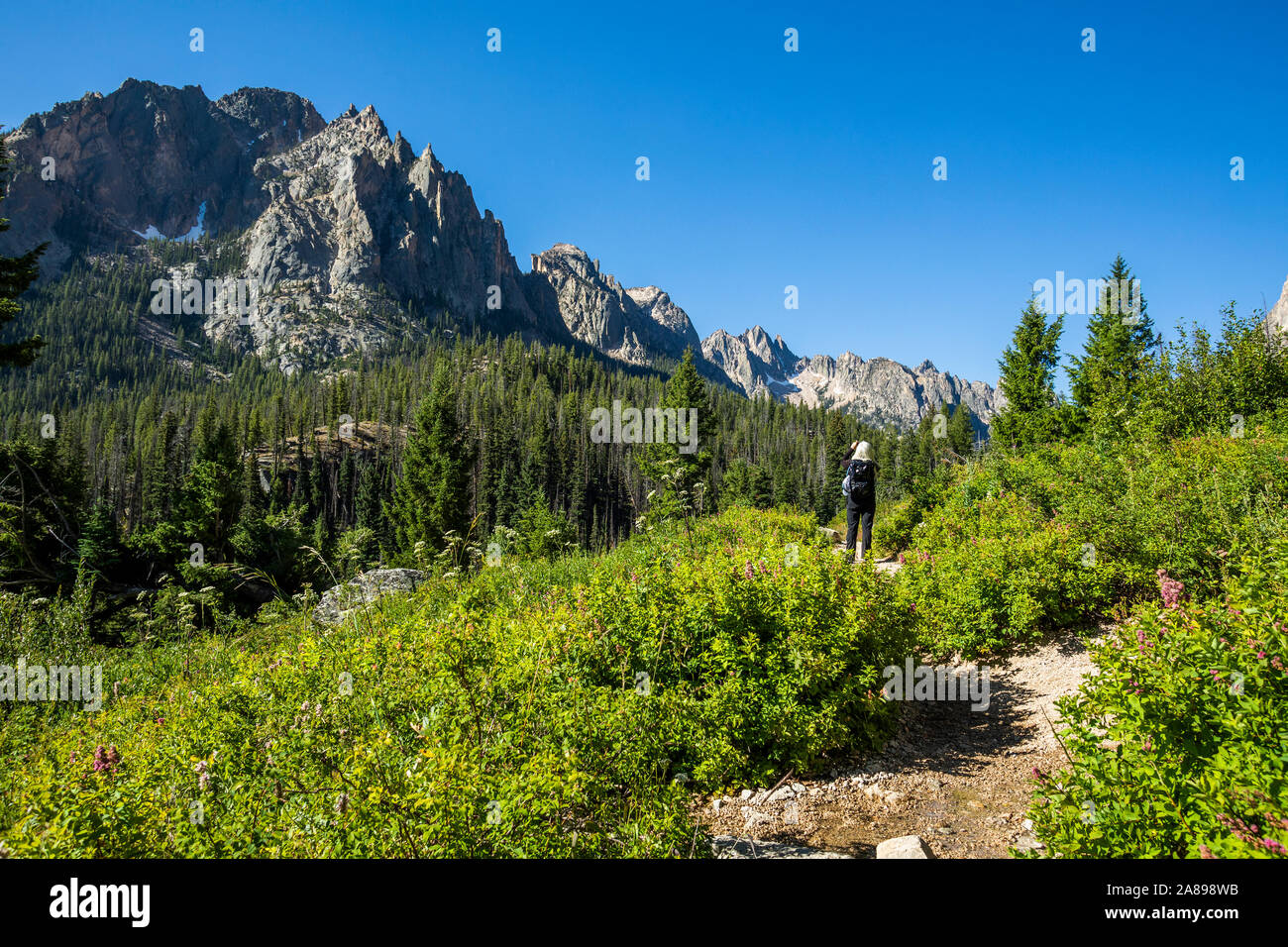 Woman hiking by Sawtooth Mountains in Stanley, Idaho, USA Stock Photo