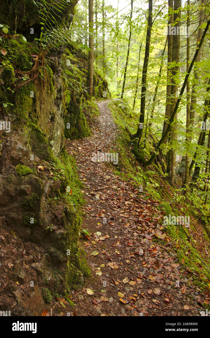 Path in Wutachschlucht (Wutach canyon) near Räuberschlössle,  autumn, Black Forest, Germany Stock Photo