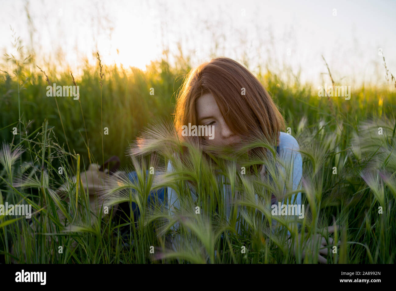 Young woman lying in wheat field Stock Photo - Alamy