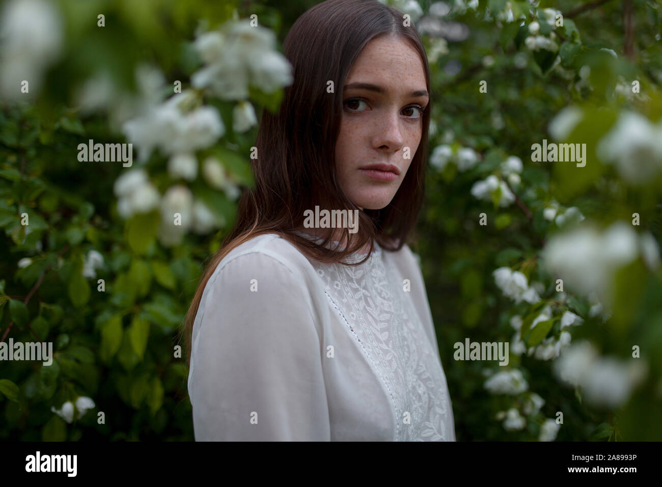 Young woman among white blossoms Stock Photo