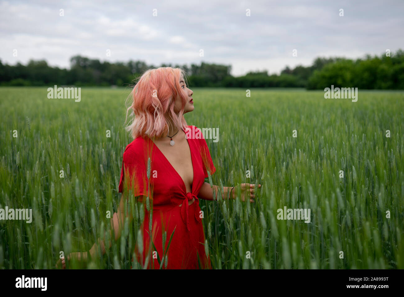 Woman with pink hair wearing red dress in wheat field Stock Photo - Alamy