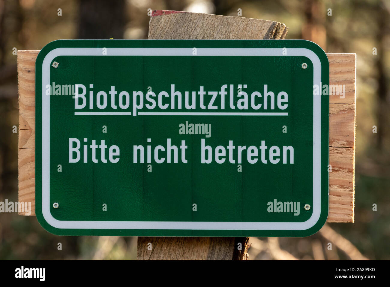 Warnschild Biotopschutzfläche bitte nicht betreten deutsch Schrift Stock Photo