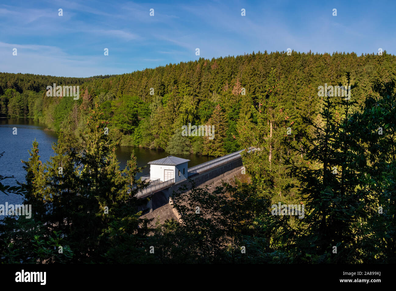 Zillierbachtalsperre Wald im Hintergrund Stock Photo