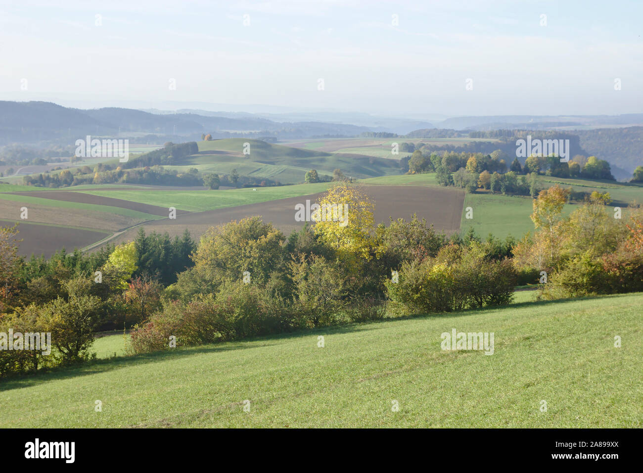 On the slope of Buchberg near Blumberg,  autumn, Black Forest, Germany Stock Photo