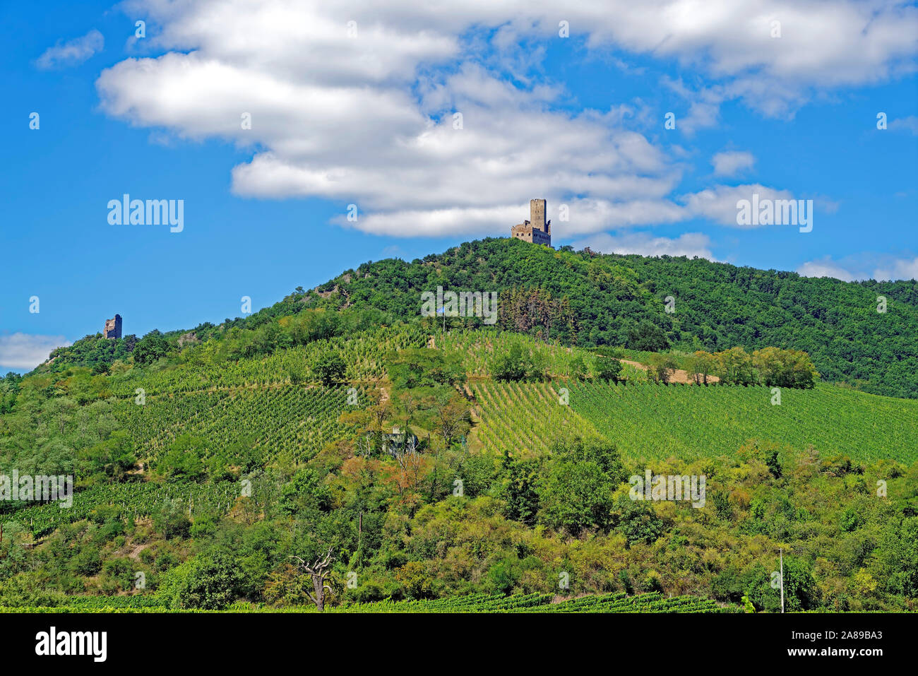 Landschaft, Weinberge, Burgen, Chateau de Ortenbourg, Chateau de Ramstein Stock Photo