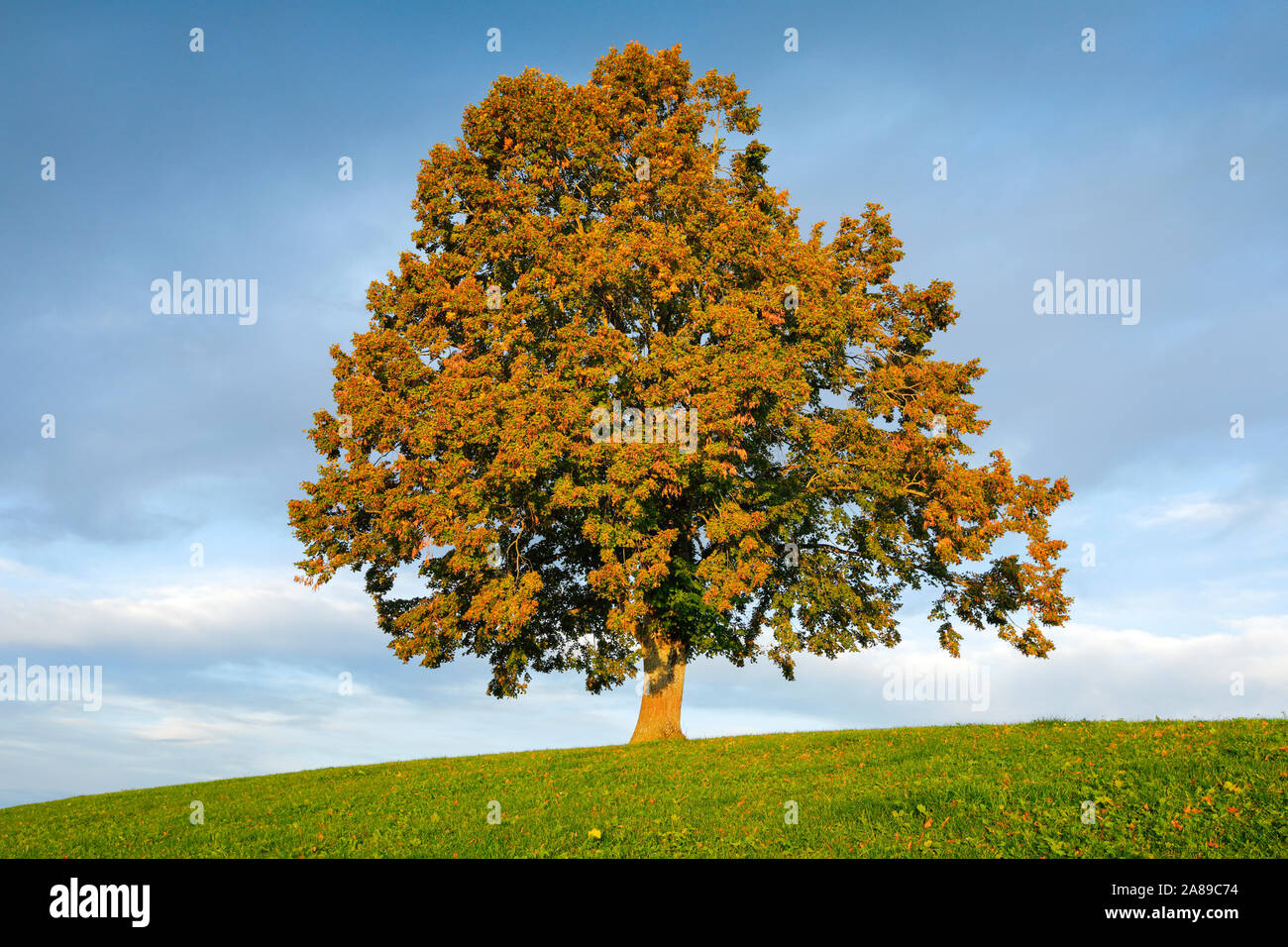 Schwellbrunn Ar High Resolution Stock Photography And Images Alamy