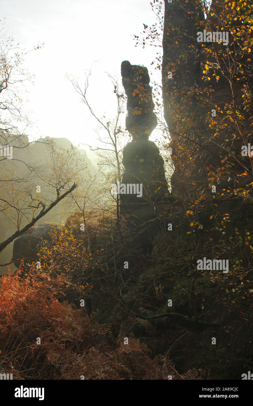 Sandstone and trees in morning light, Heilige Stiege, autumn, Sächsische Schweiz, Germany Stock Photo