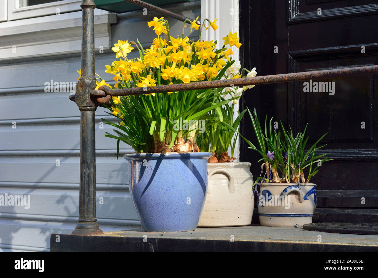 Flowers in a wooden house in Bergen's Old Town. Bergen, Norway Stock Photo