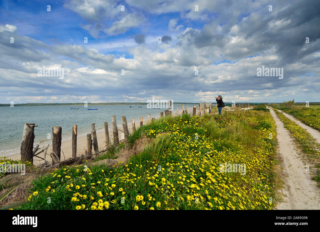 Birdwatching on the banks of the Sado river. Alcácer do Sal, Portugal Stock Photo