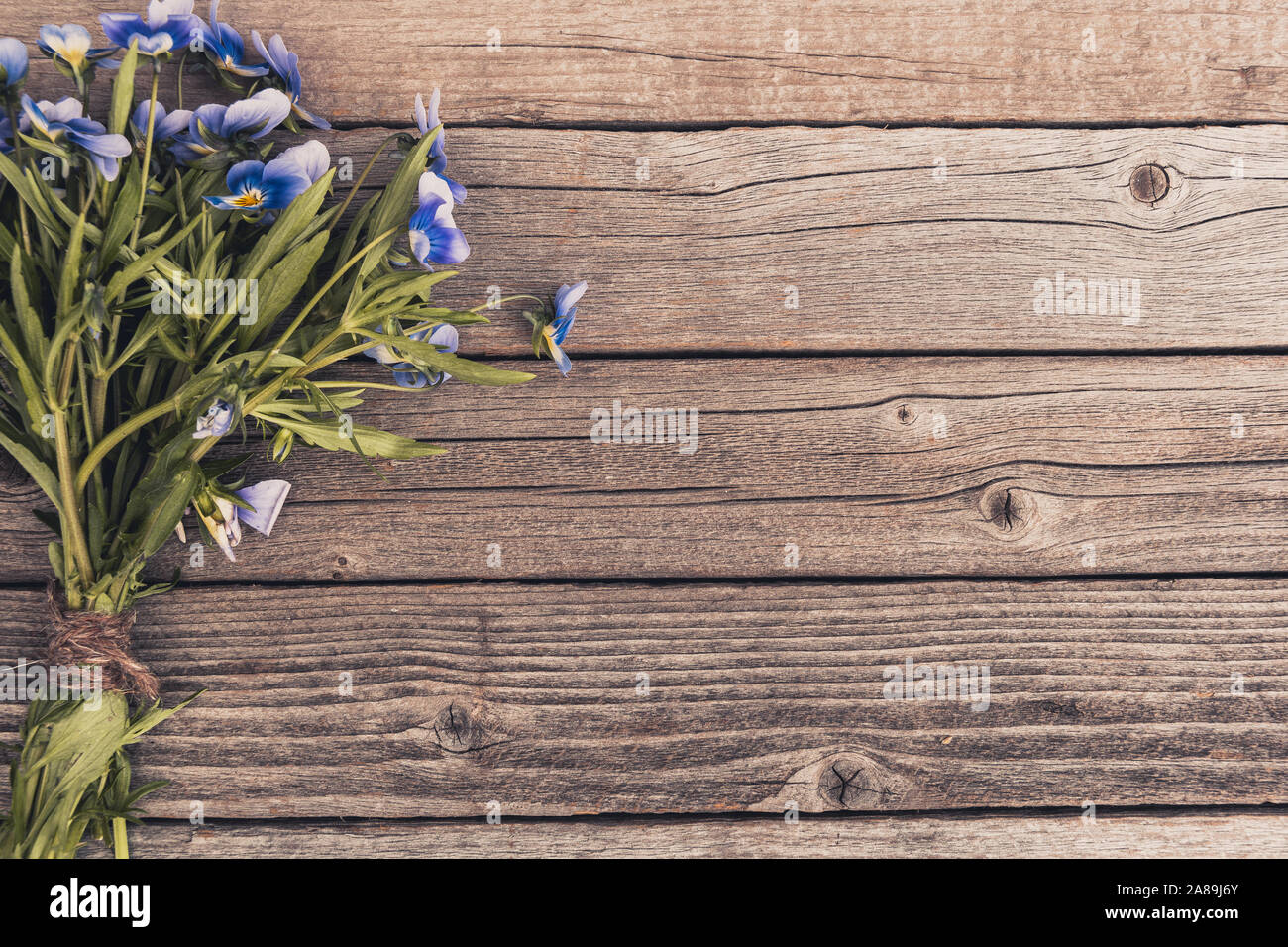 Bouquet of purple violets on wooden table. Old boards with garden flowers Stock Photo