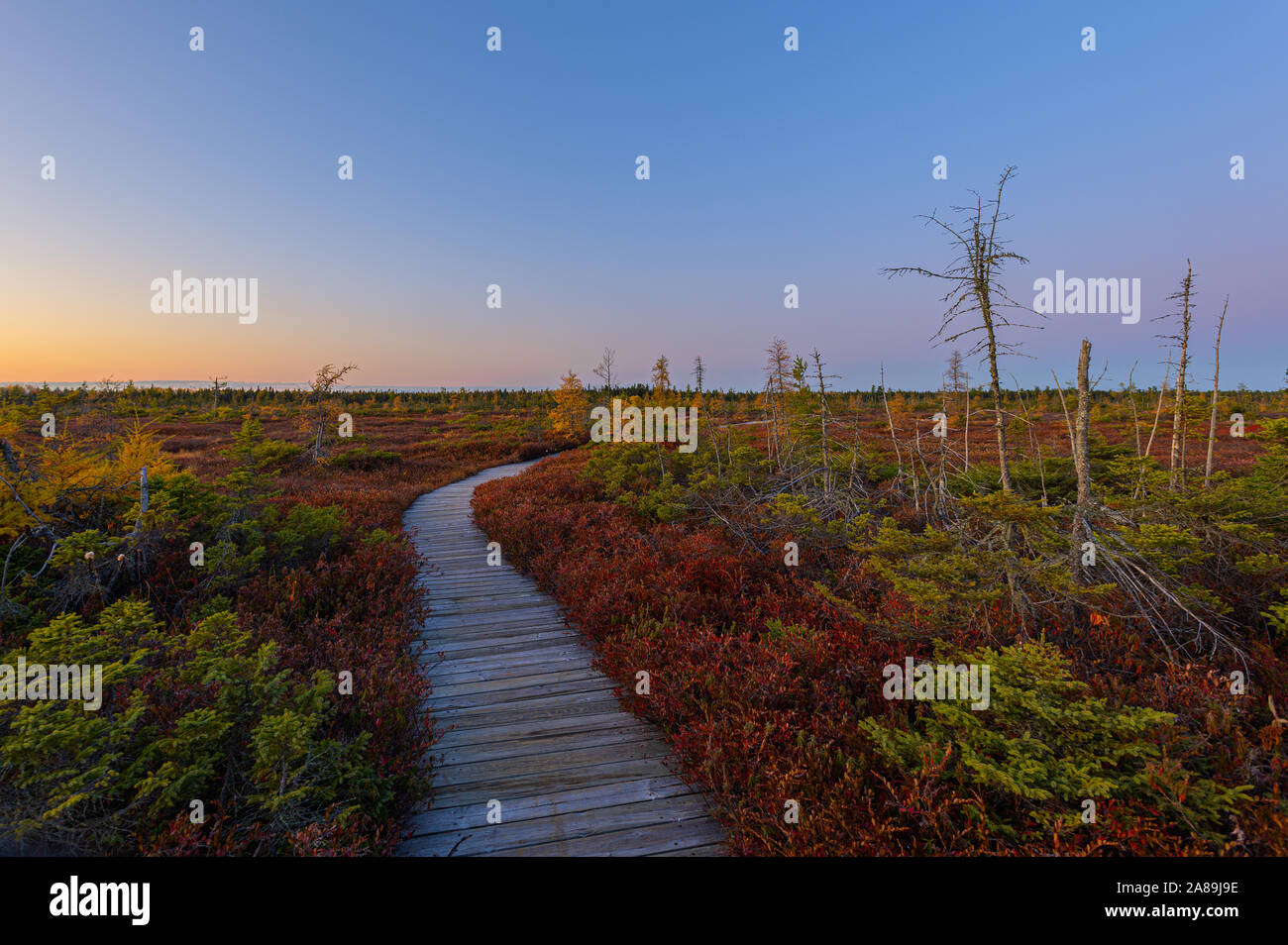 Canada kouchibouguac national park hires stock photography and images