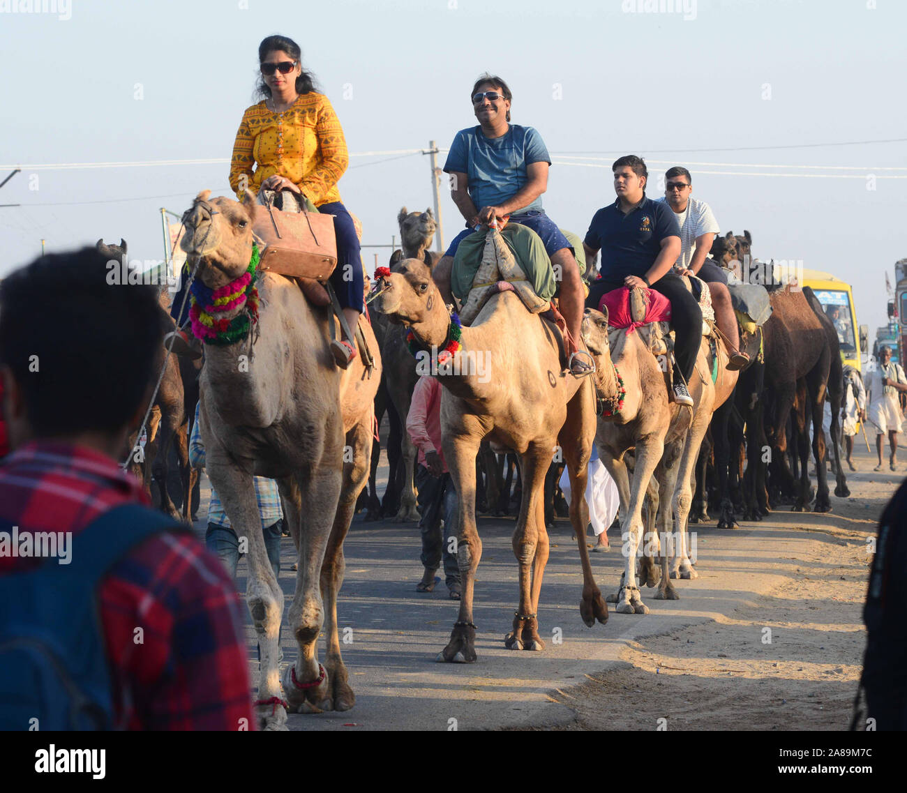 Indian camel ship desert thar hi-res stock photography and images - Alamy