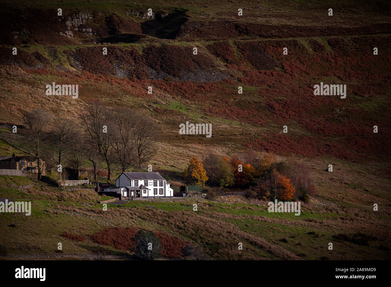 White house on rugged hillside with late afternoon light and autumn colour Stock Photo