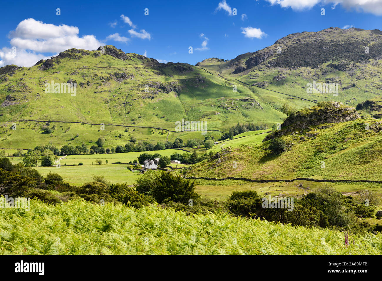 Fell Foot Farm in Little Langdale valley beside Castle Howe rock and Birk Fell Hawse and Wetherlam peaks Lake District England Stock Photo