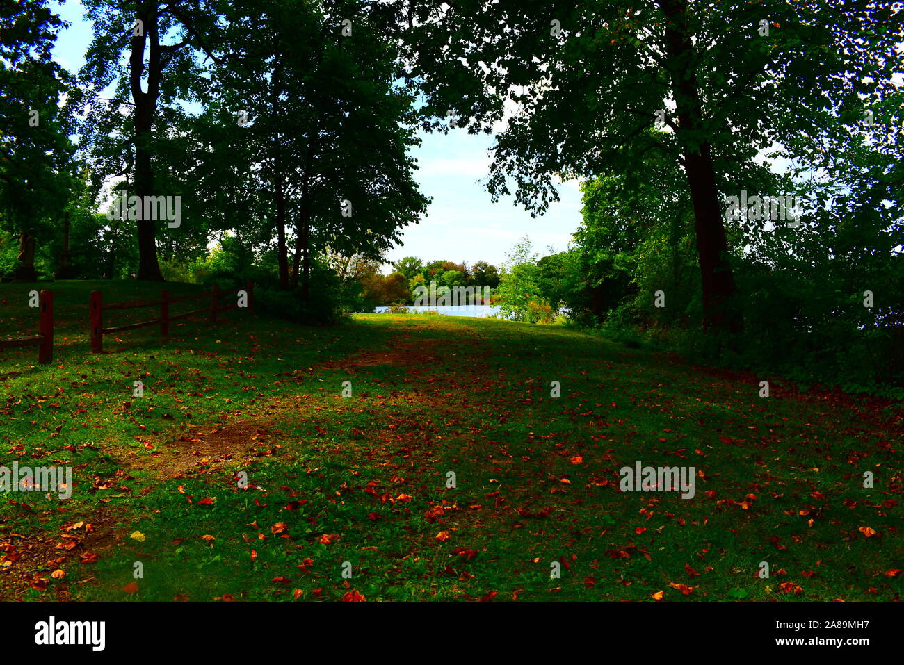 taking the road less traveled Stock Photo