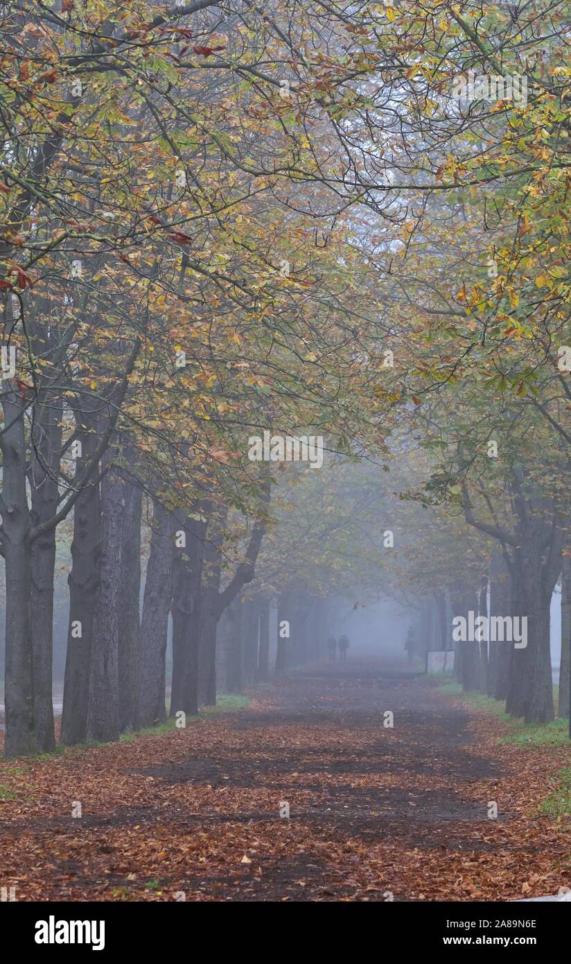 Prater alley on a foggy morning Stock Photo