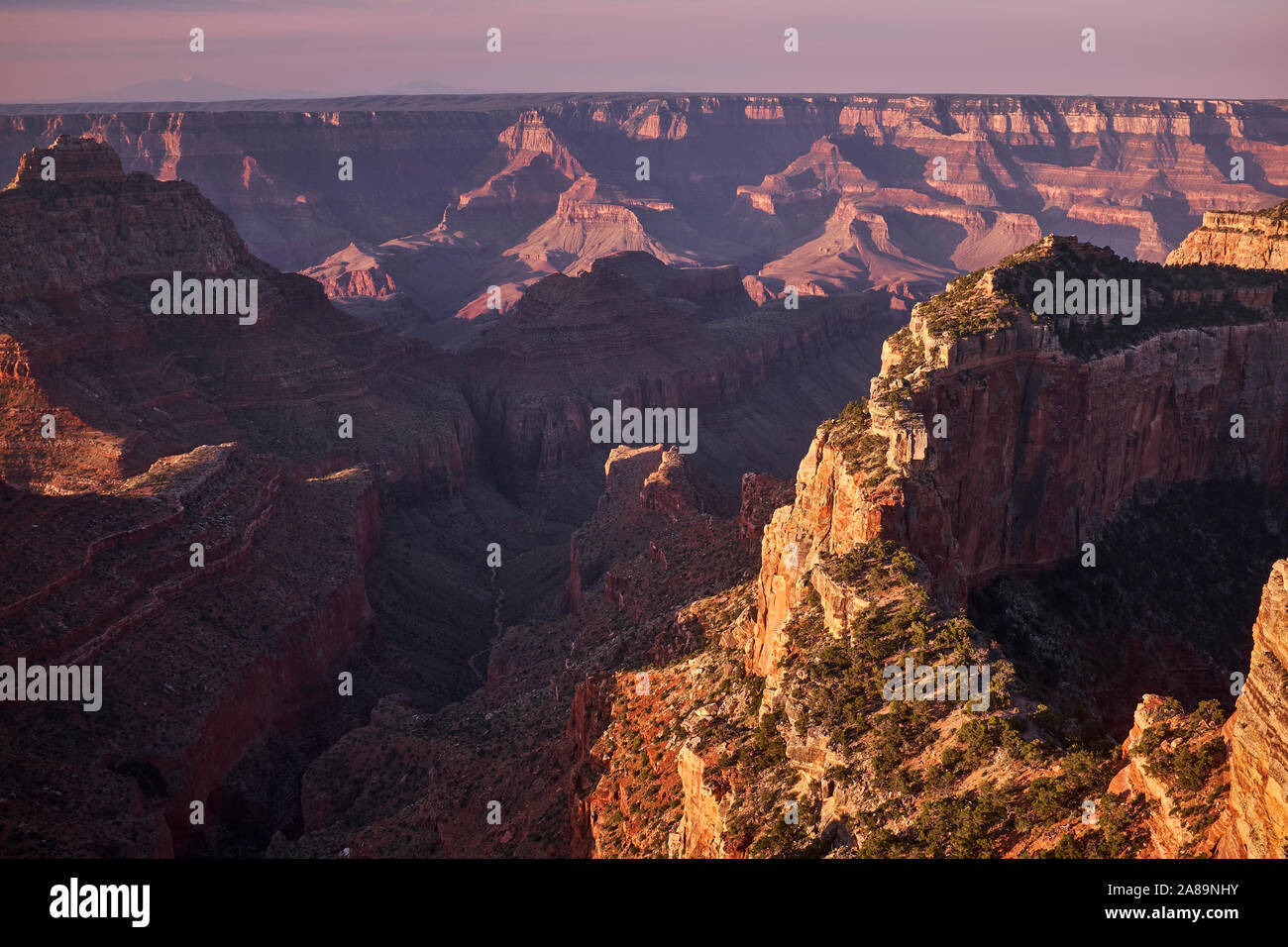 Sunrise at Cape Royal, North Rim of Grand Canyon National Park, Arizona, USA Stock Photo
