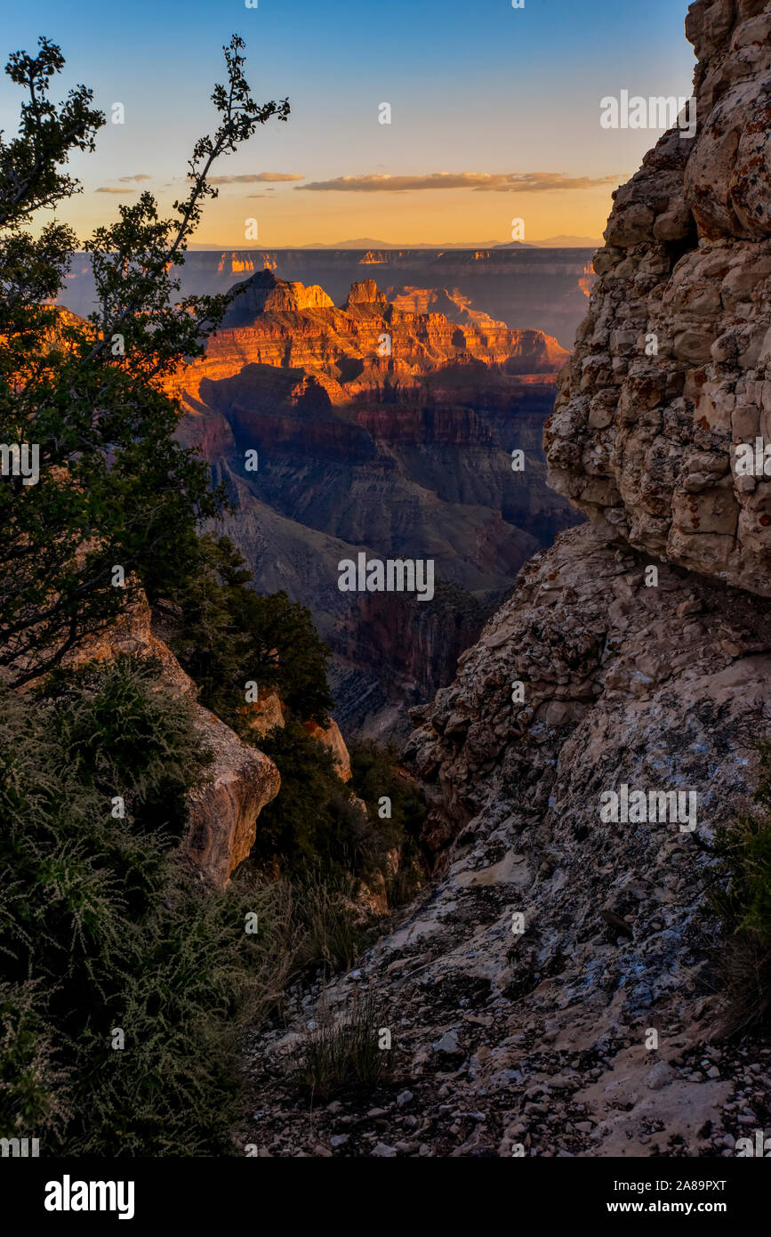 The North Rim of the Grand Canyon Landscape Stock Photo