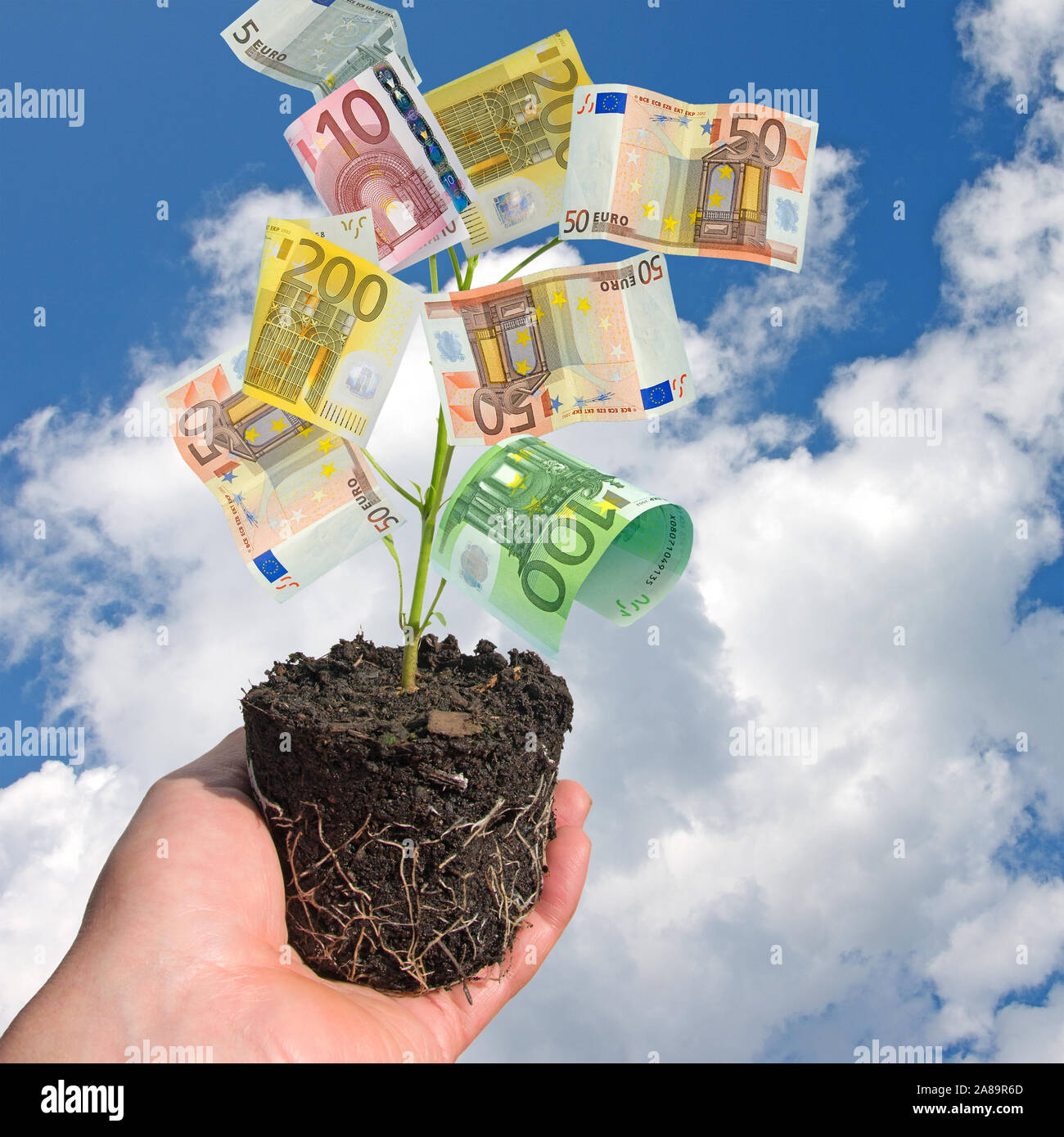 Hand with a plant of money, banknotes Stock Photo