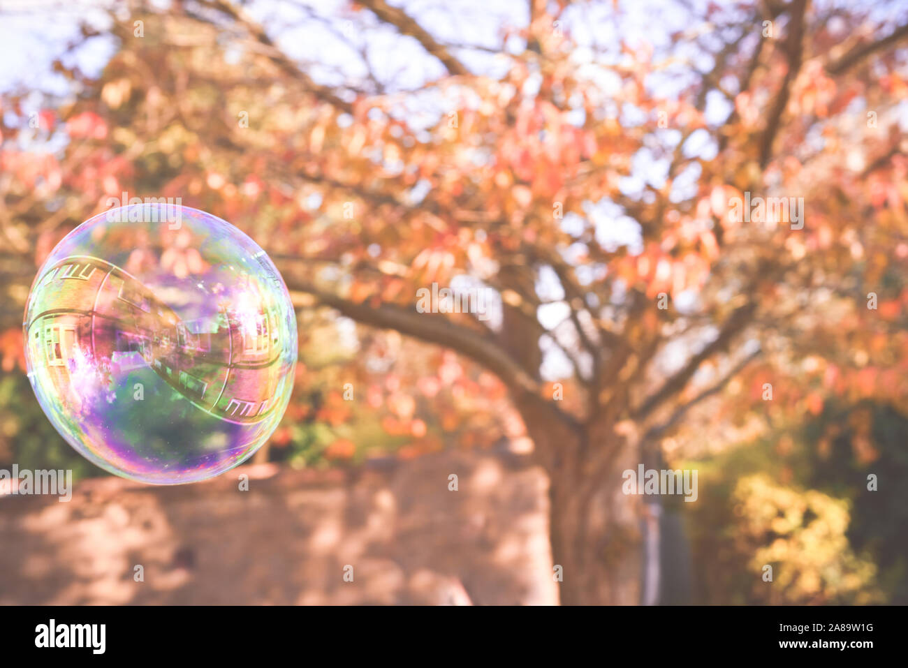 Child playing outside in a garden during day time with bubbles he is happy and running Stock Photo