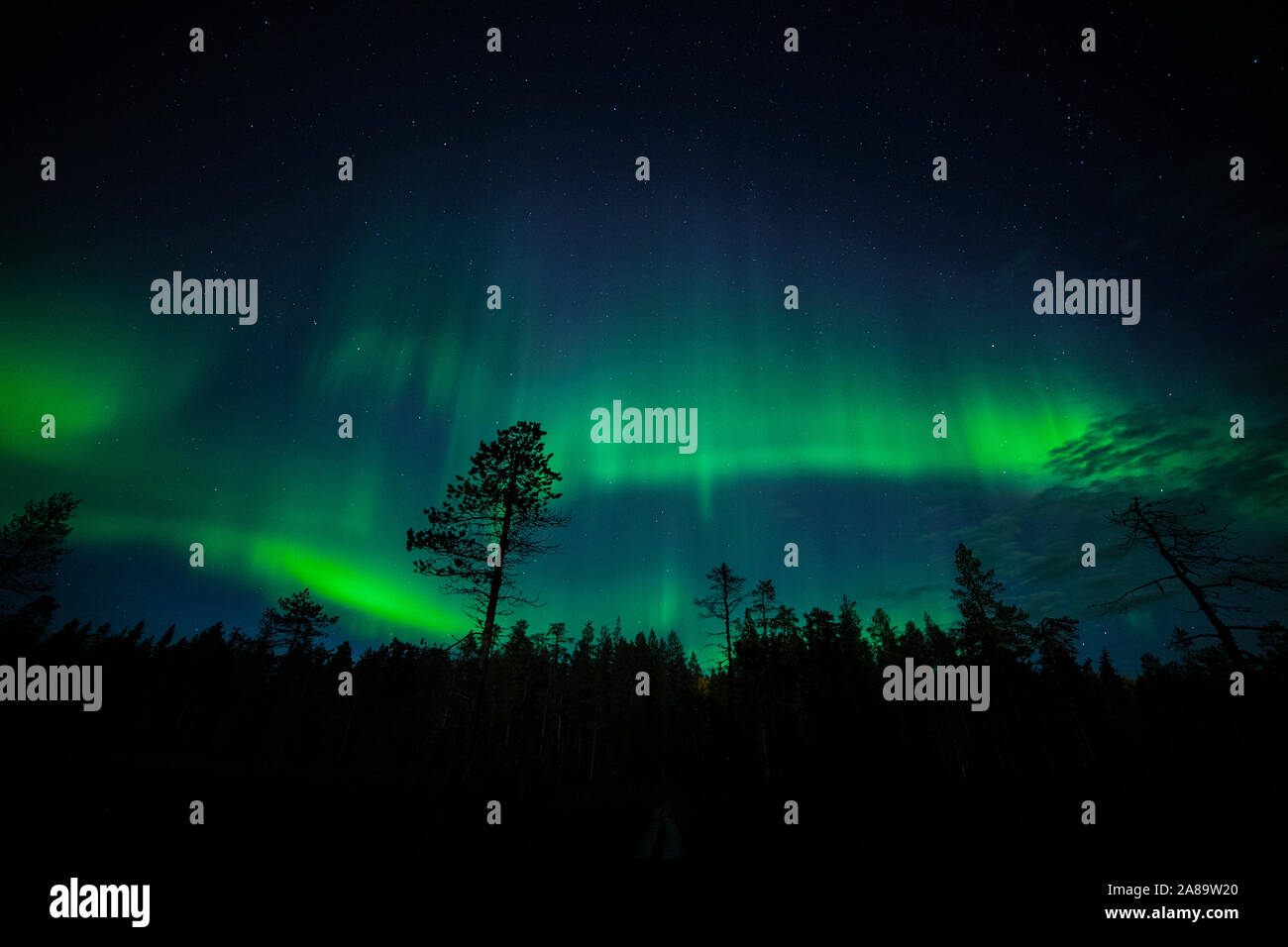Northern lights in Akaslompolo, Lapland, Finland Stock Photo