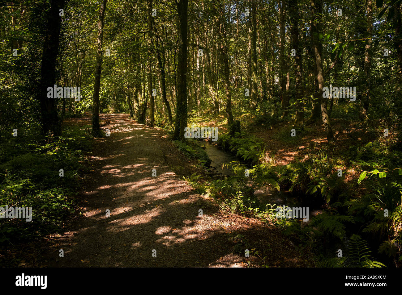 A walking route through Tehidy Country Park, the largest area of ...