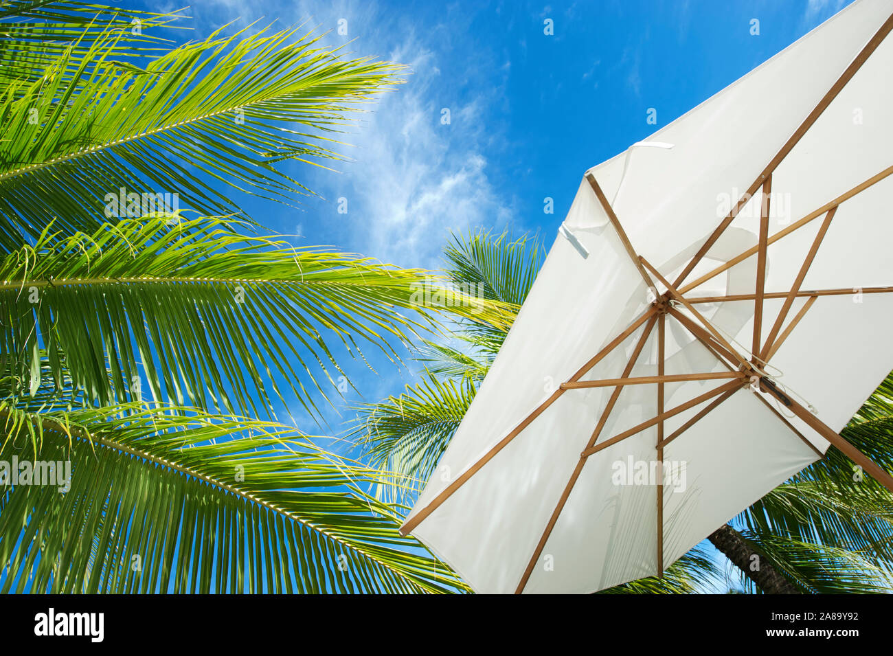 Large white beach umbrella in bright blue sky next to fresh bright green tropical palm fronds Stock Photo