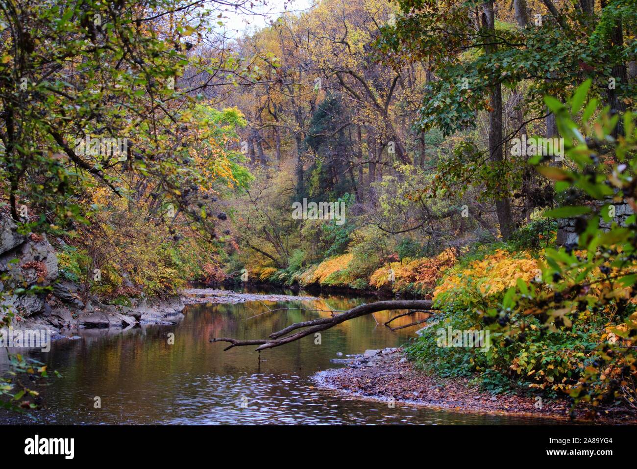 Colorful fall foliage seen in Philadelphia's Wissahickon Valley on an