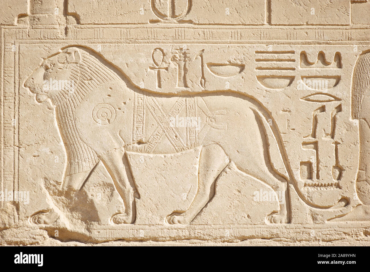 Egyptian Cat Hieroglyphics