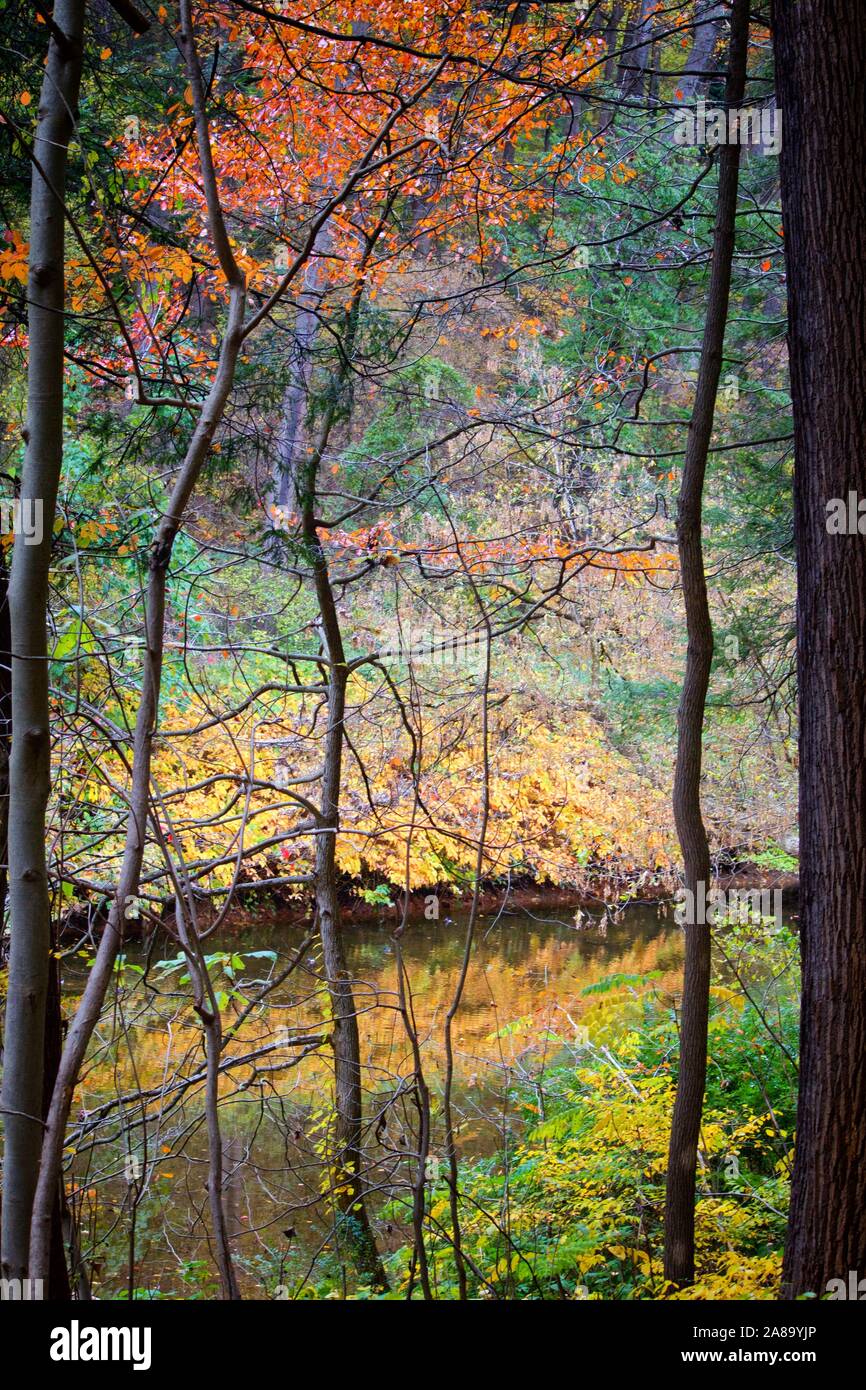 Colorful fall foliage seen in Philadelphia's Wissahickon Valley on an ...