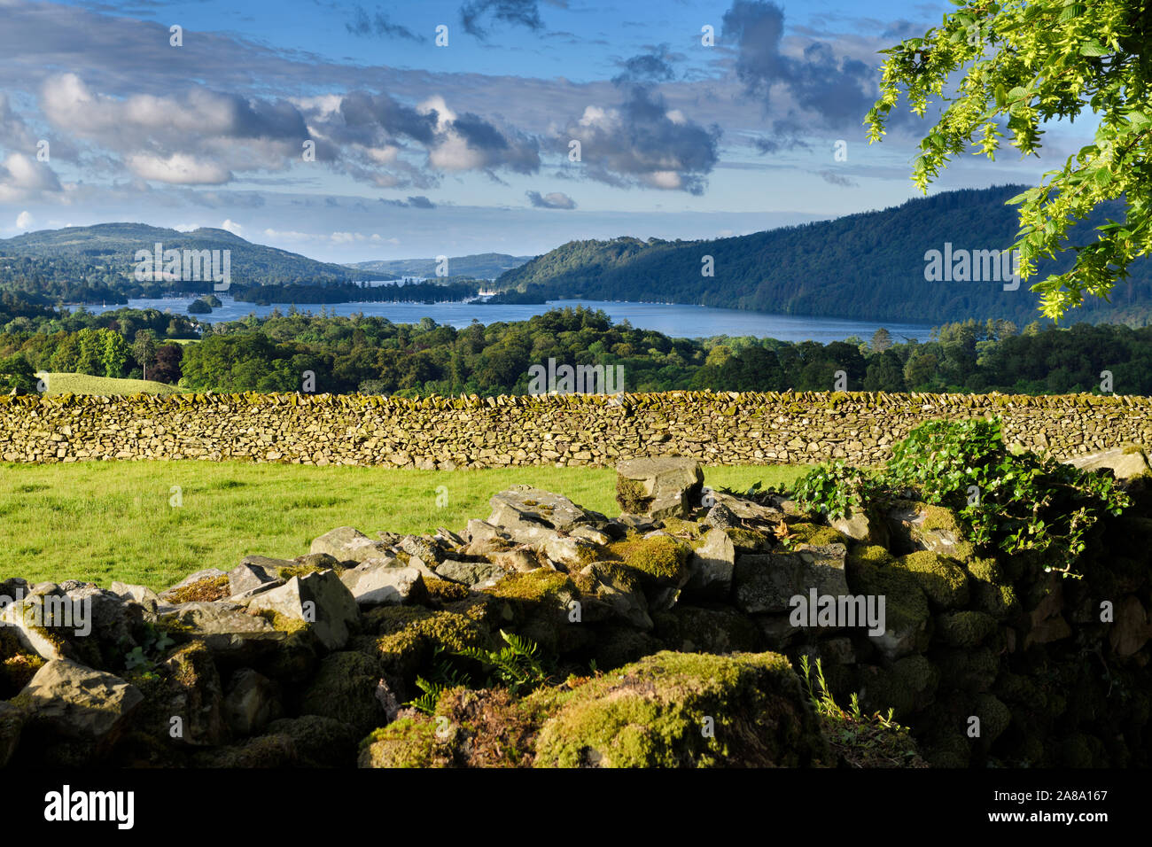 Drystone fences in morning light near Troutbeck overlooking Windermere Lake towards Bowness-on-Windermere Lake District England Stock Photo