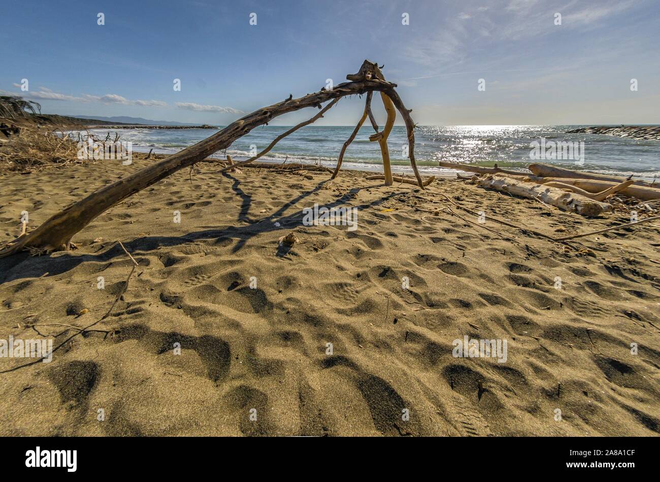 View of the marine coastline with a beached trunk Stock Photo