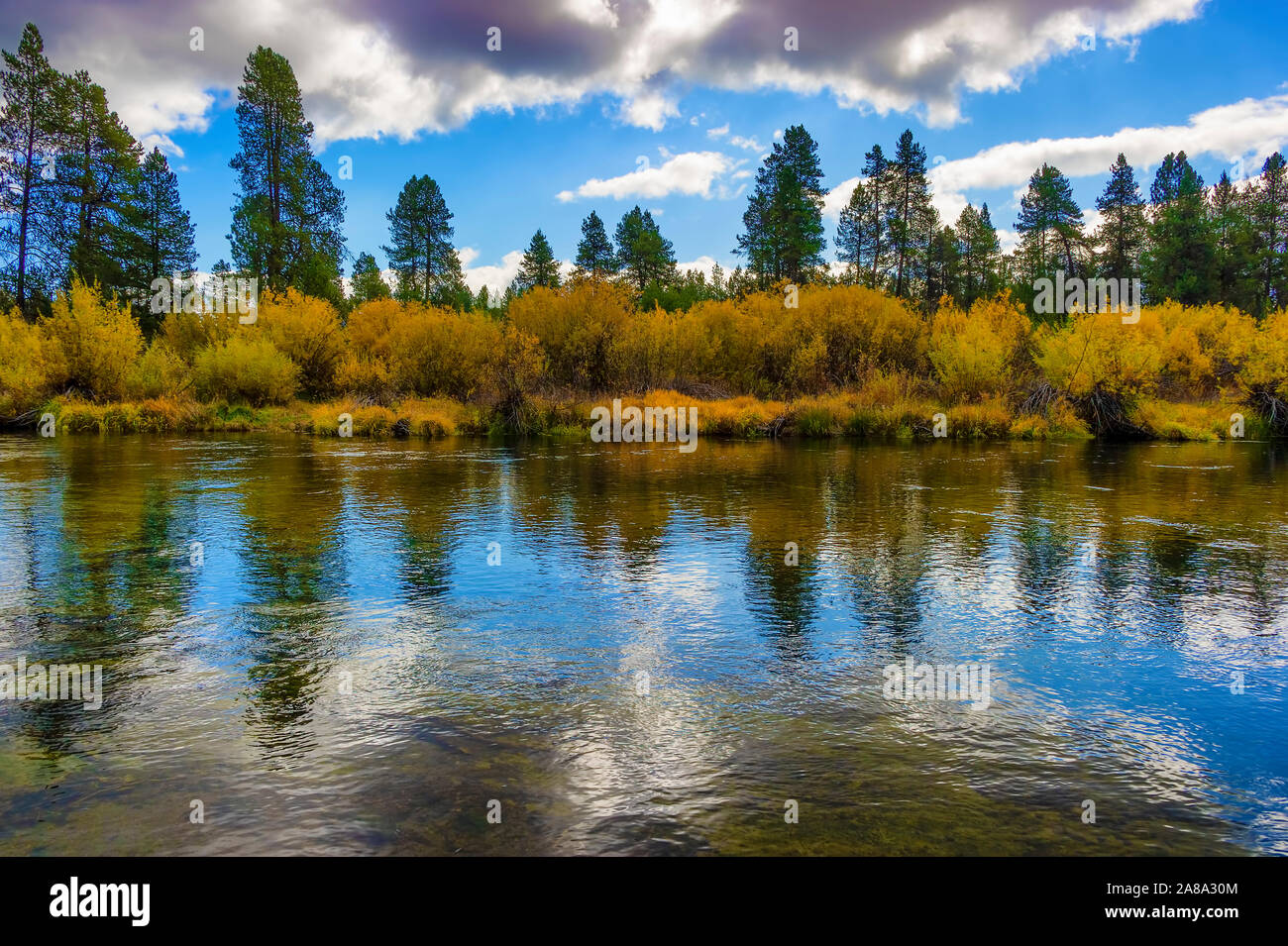 Falls colors along the Williamson River in rural Klamath County, Oregon Stock Photo