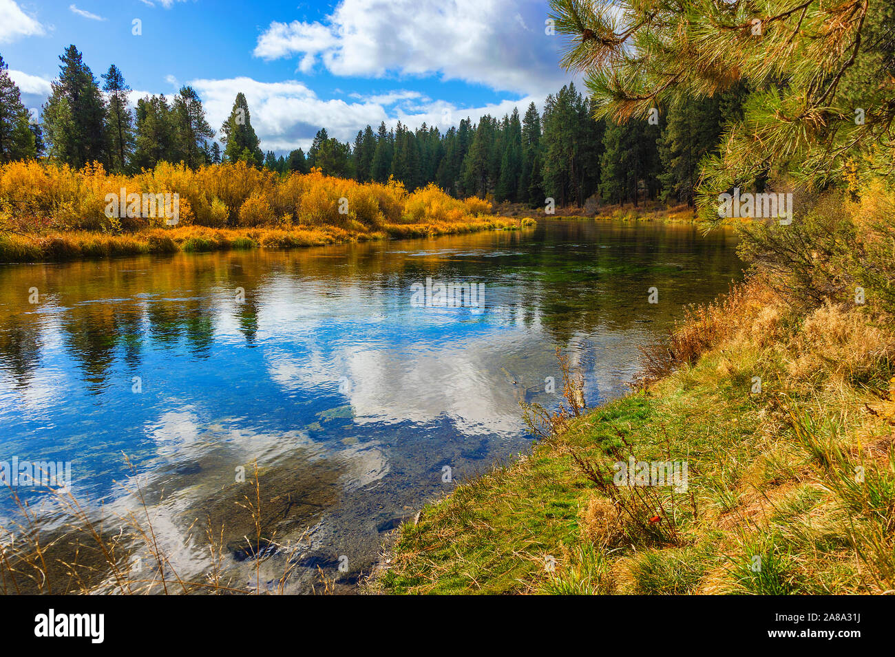 Falls colors along the Williamson River in rural Klamath County, Oregon Stock Photo